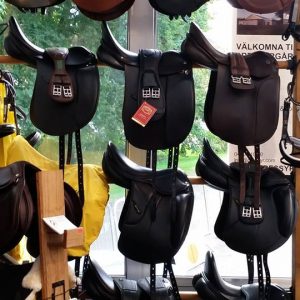 BEGAGNADE DRESSYRSADLAR