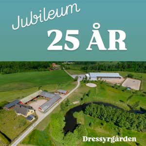 25 års jubileum